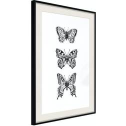 Arkiio Affisch Three Butterflies [Poster] 20x30 Poster